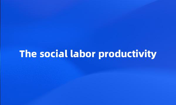 The social labor productivity