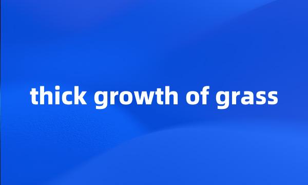 thick growth of grass