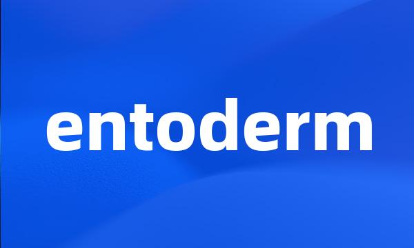 entoderm