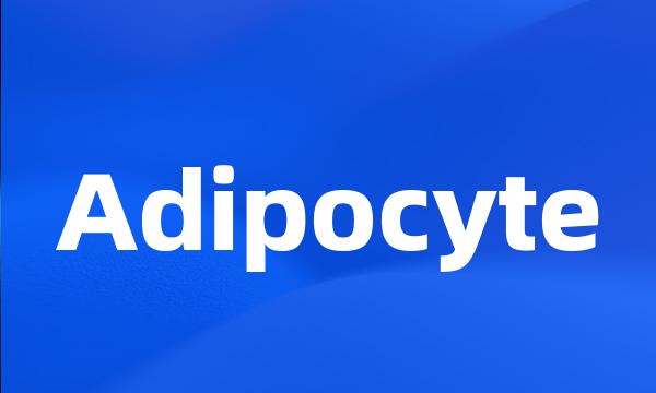 Adipocyte