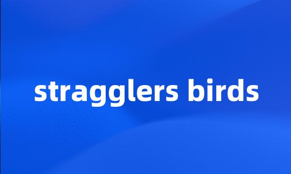 stragglers birds