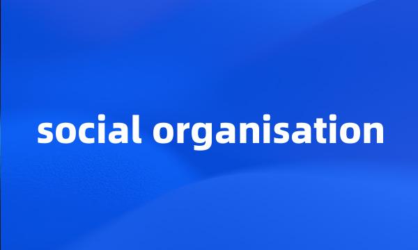 social organisation