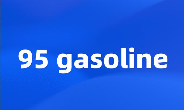 95 gasoline