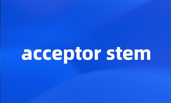 acceptor stem