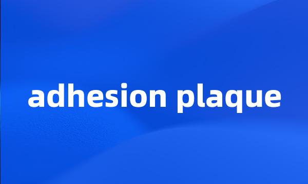 adhesion plaque