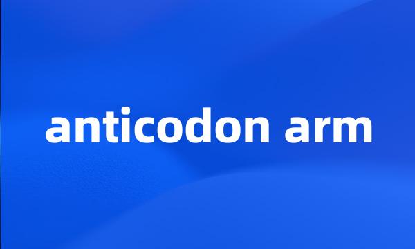 anticodon arm