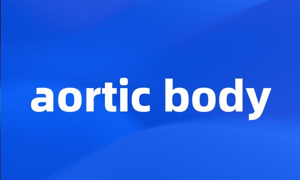 aortic body