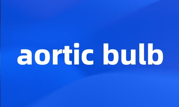 aortic bulb