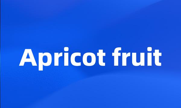 Apricot fruit