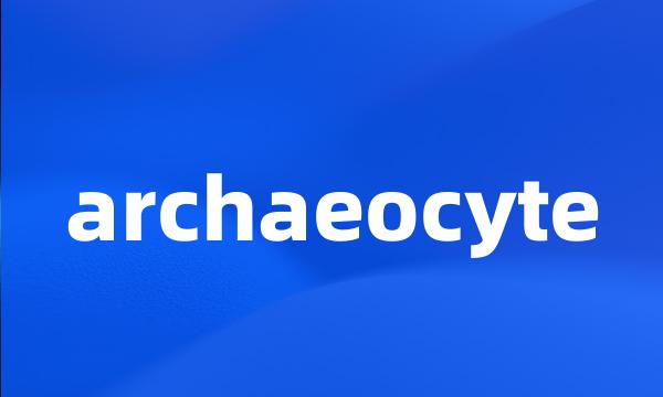 archaeocyte