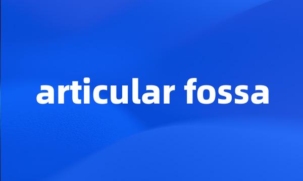 articular fossa