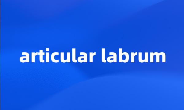 articular labrum