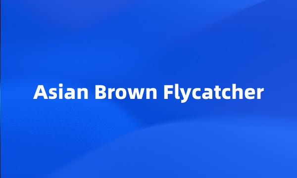 Asian Brown Flycatcher