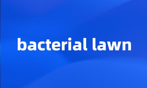 bacterial lawn