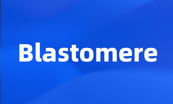 Blastomere