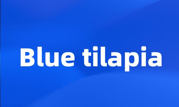 Blue tilapia