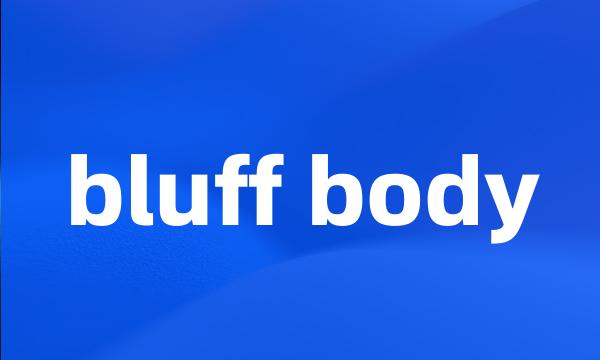 bluff body