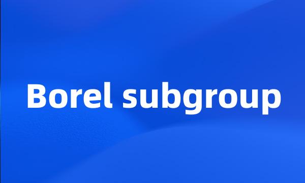 Borel subgroup