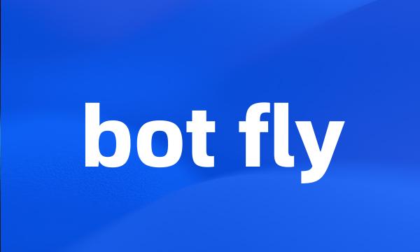 bot fly