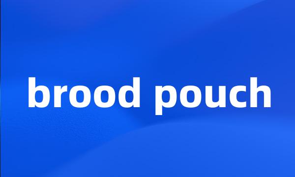 brood pouch