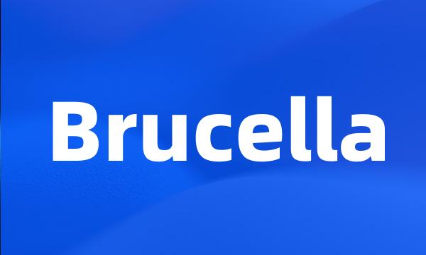 Brucella