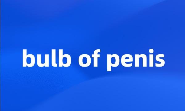 bulb of penis