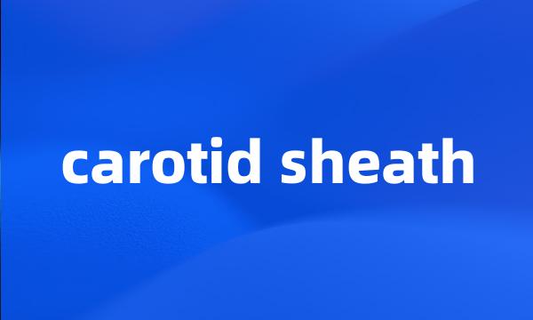 carotid sheath