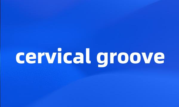 cervical groove