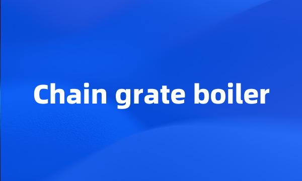 Chain grate boiler