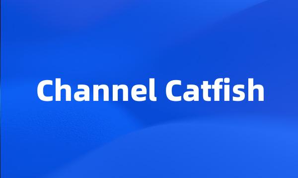 Channel Catfish