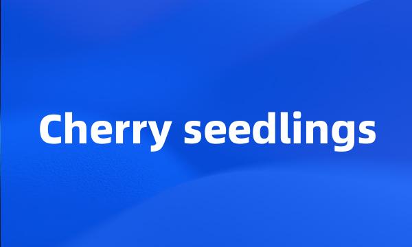 Cherry seedlings