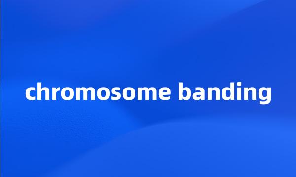 chromosome banding