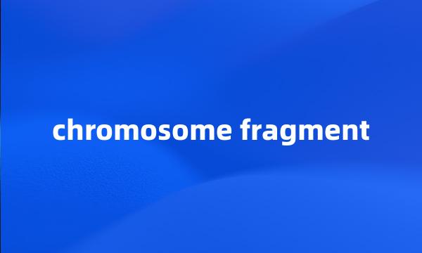 chromosome fragment