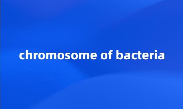 chromosome of bacteria