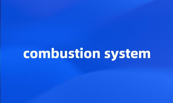 combustion system