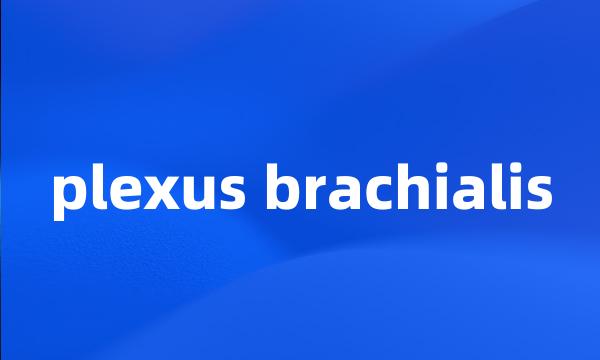 plexus brachialis