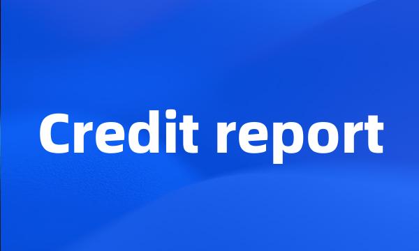 Credit report