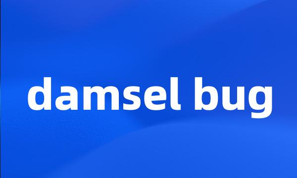 damsel bug