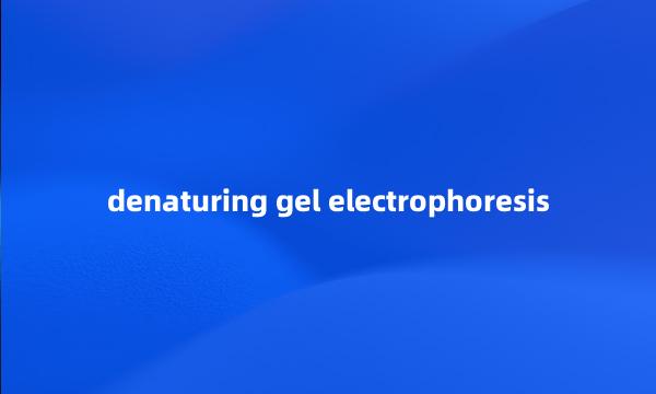 denaturing gel electrophoresis