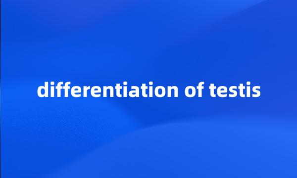 differentiation of testis