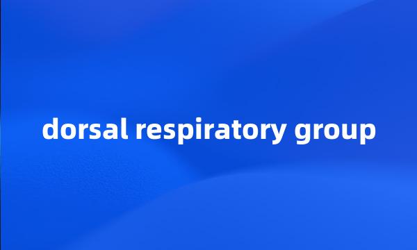 dorsal respiratory group