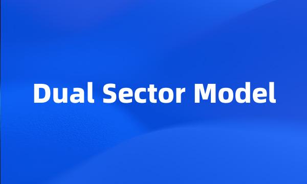 Dual Sector Model