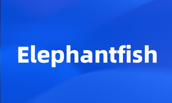 Elephantfish