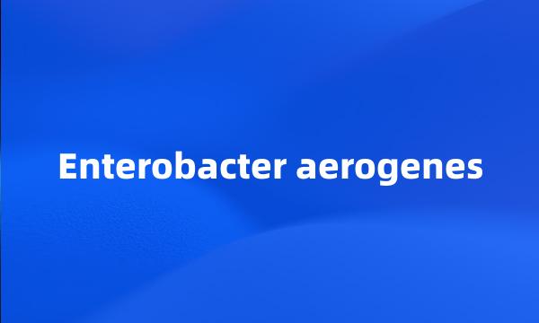 Enterobacter aerogenes