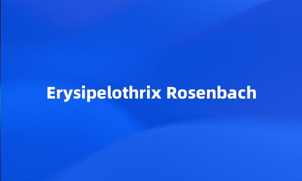 Erysipelothrix Rosenbach