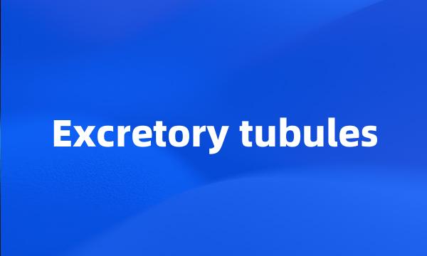 Excretory tubules