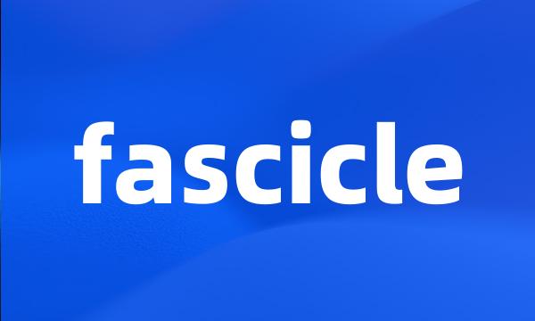 fascicle