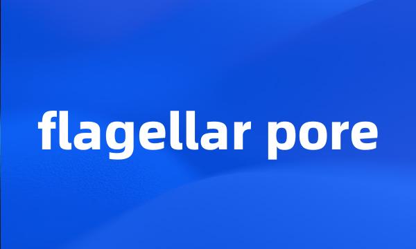 flagellar pore