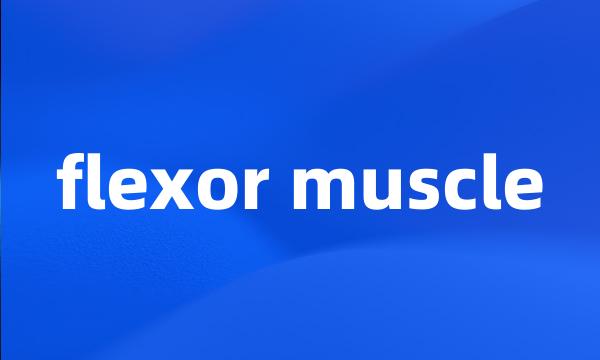 flexor muscle