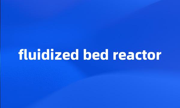 fluidized bed reactor